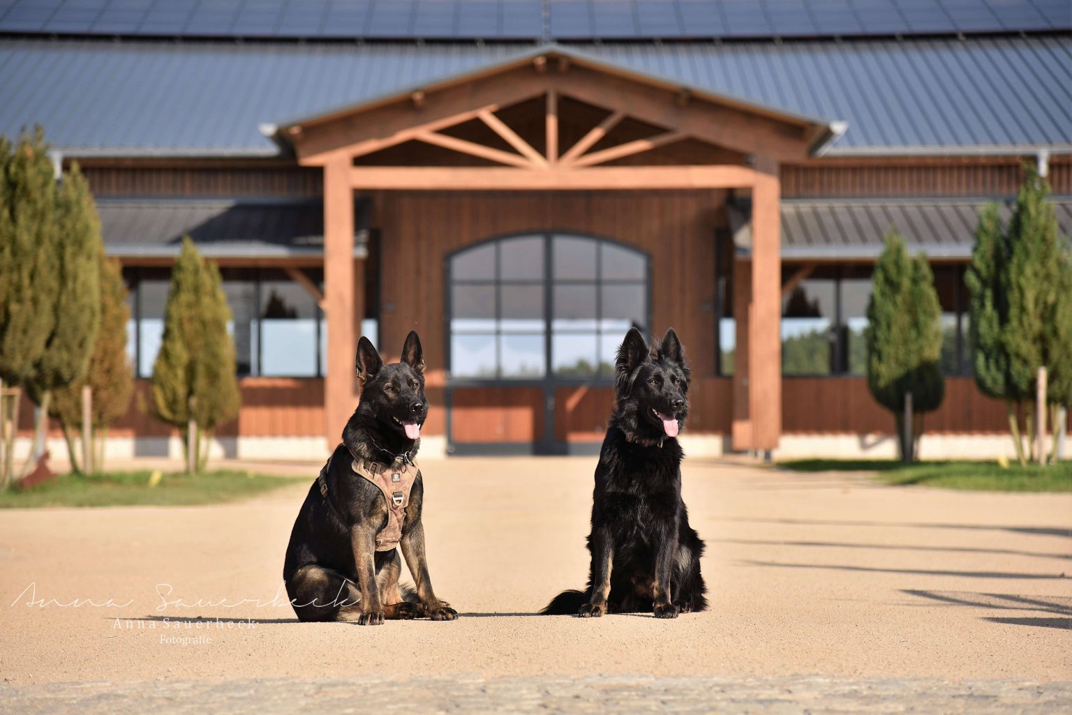 Impressions – 2BE Ranch