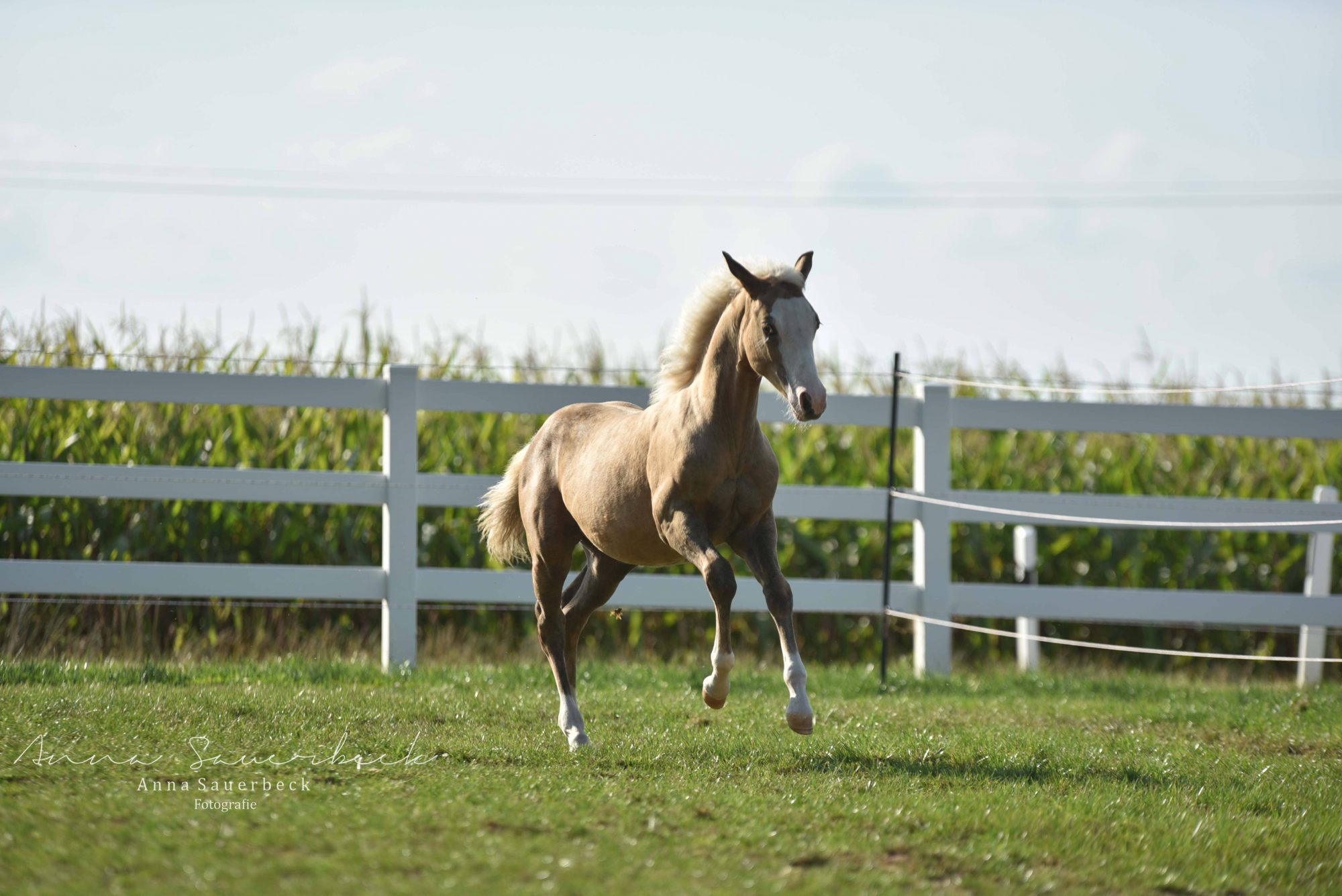 Facilities – 2BE Ranch