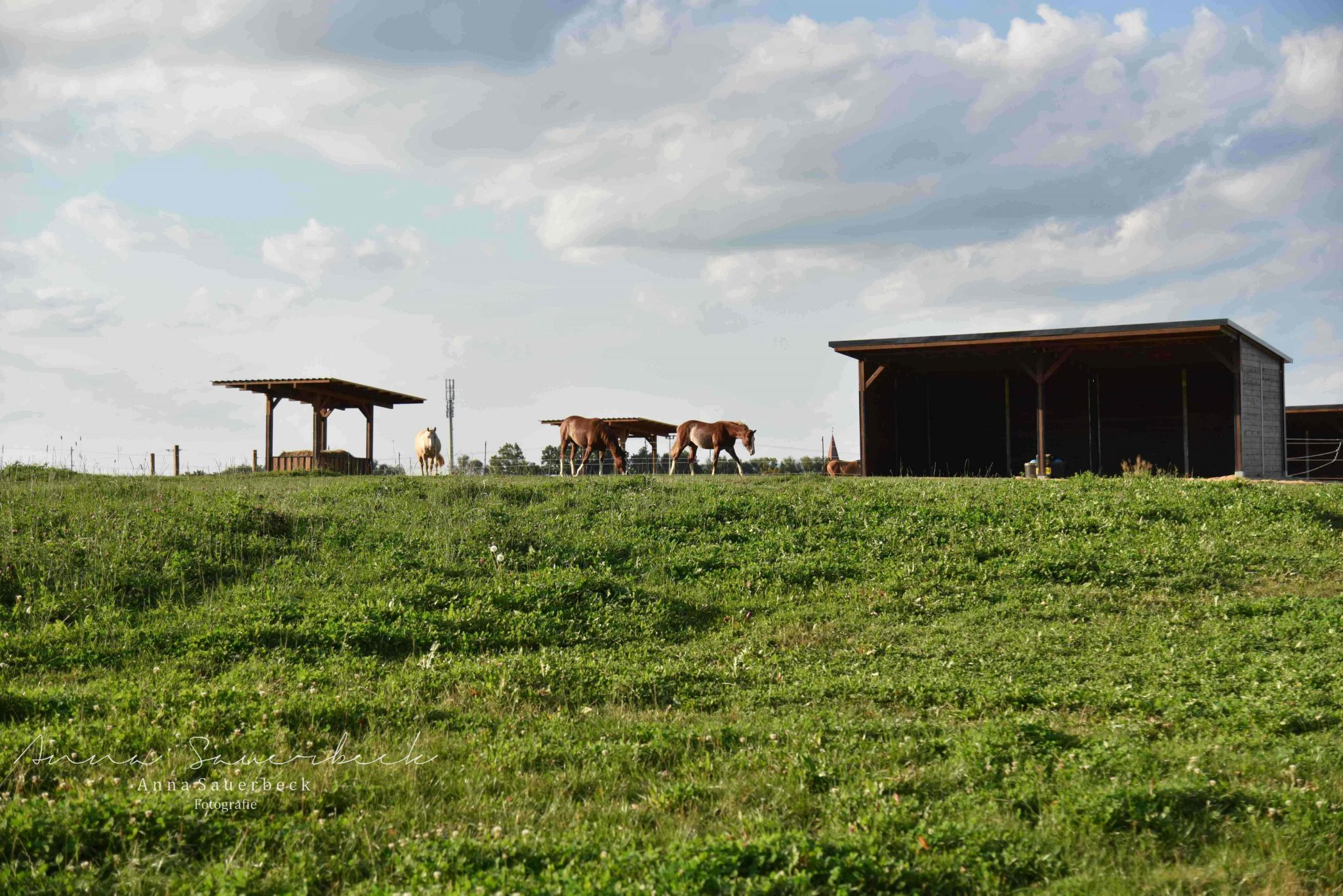 Facilities – 2BE Ranch