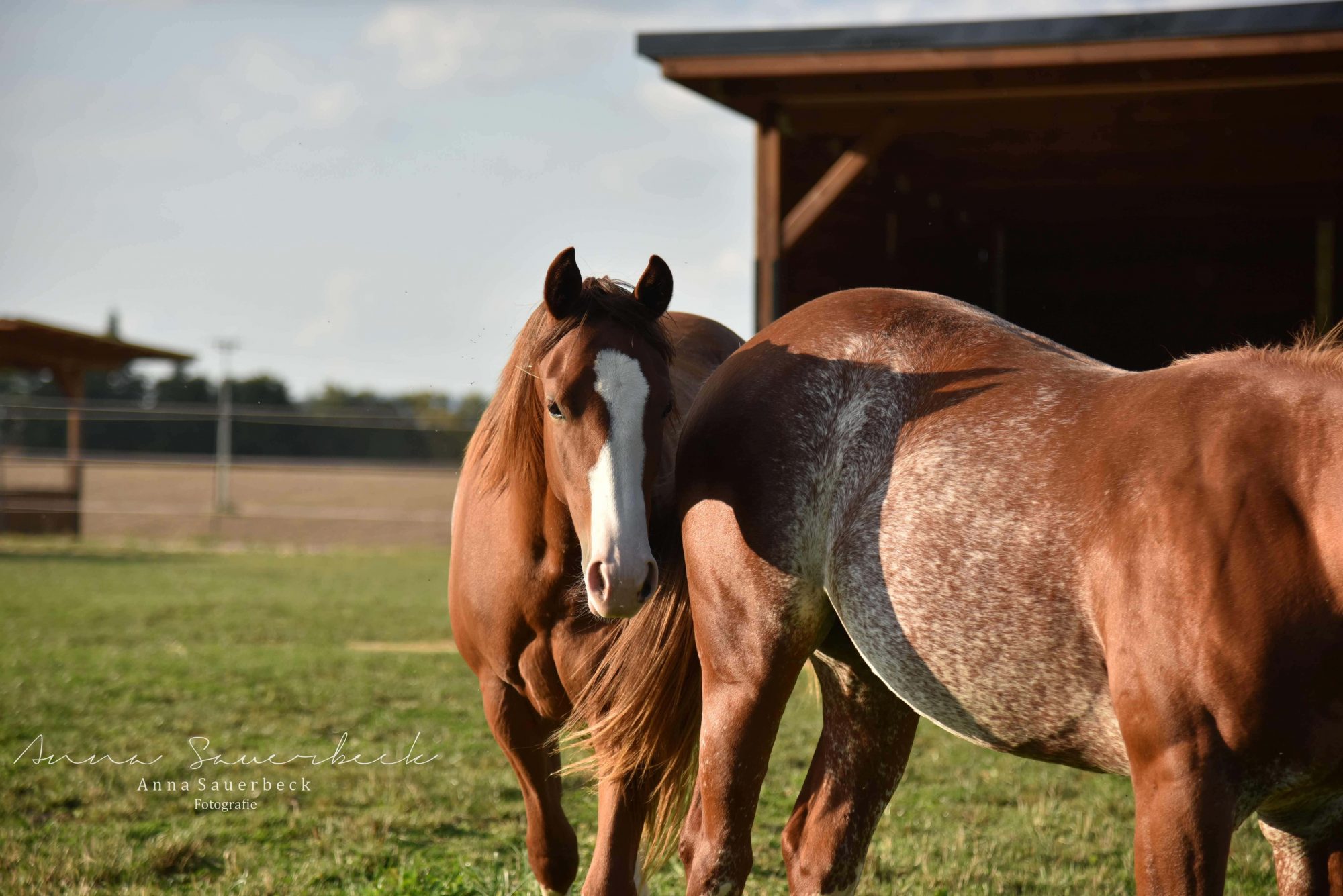 Facilities – 2BE Ranch